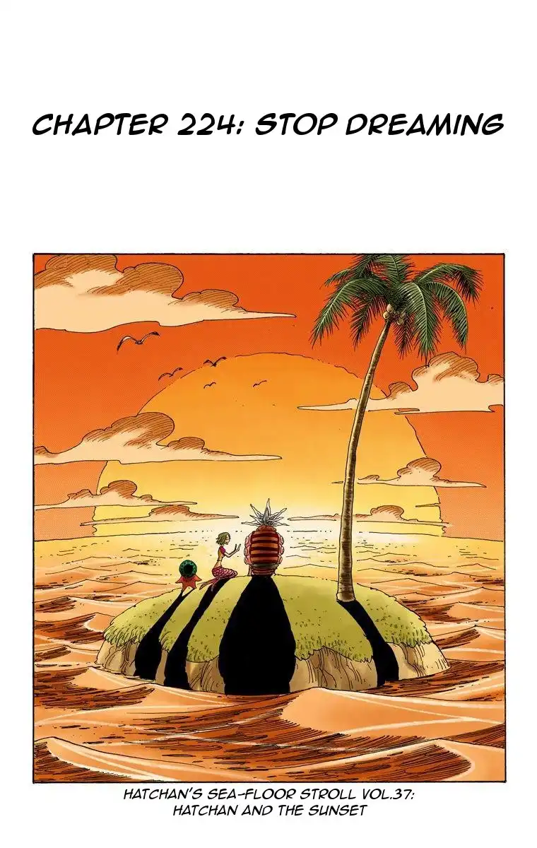 One Piece - Digital Colored Comics Chapter 224 2